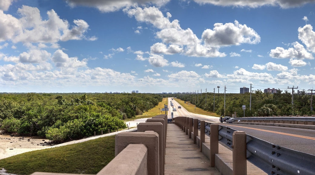 New Pass Bridge over Estero Bay in Bonita Springs