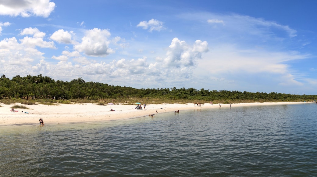 White sand beach path leading to the ocean at Lovers Key State Park Beach