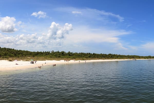 White sand beach path leading to the ocean at Lovers Key State Park Beach