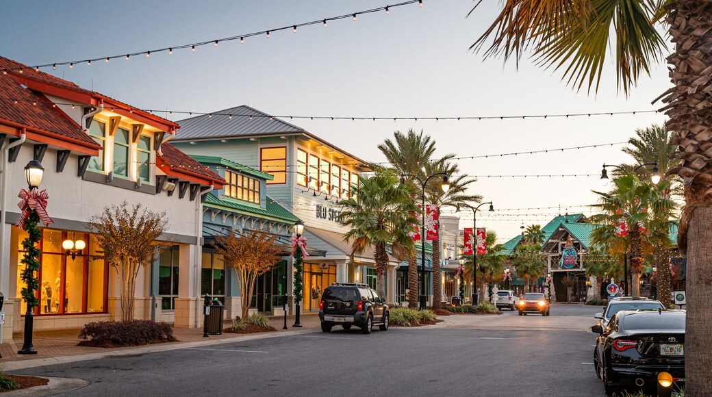 Destin Commons featuring a sunset
