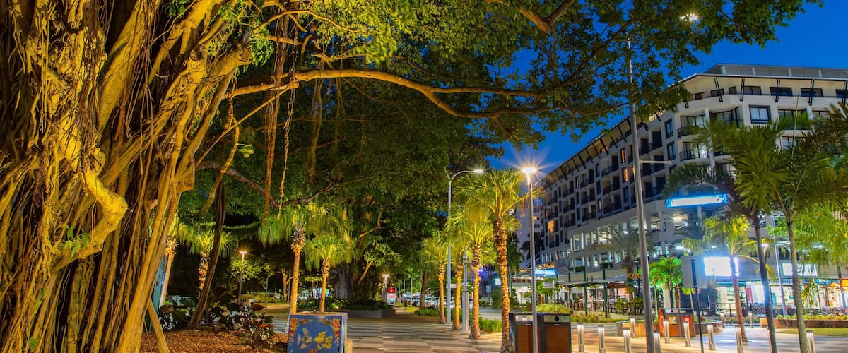 Cairns Esplanade featuring night scenes