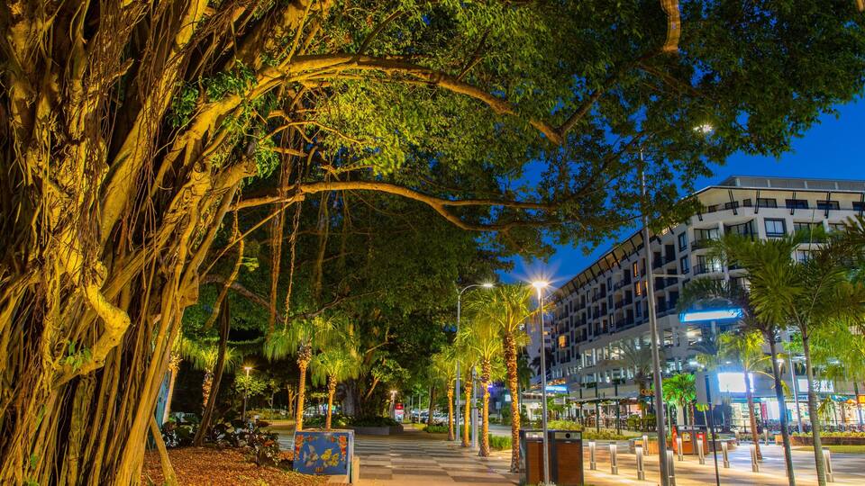 Cairns Esplanade featuring night scenes