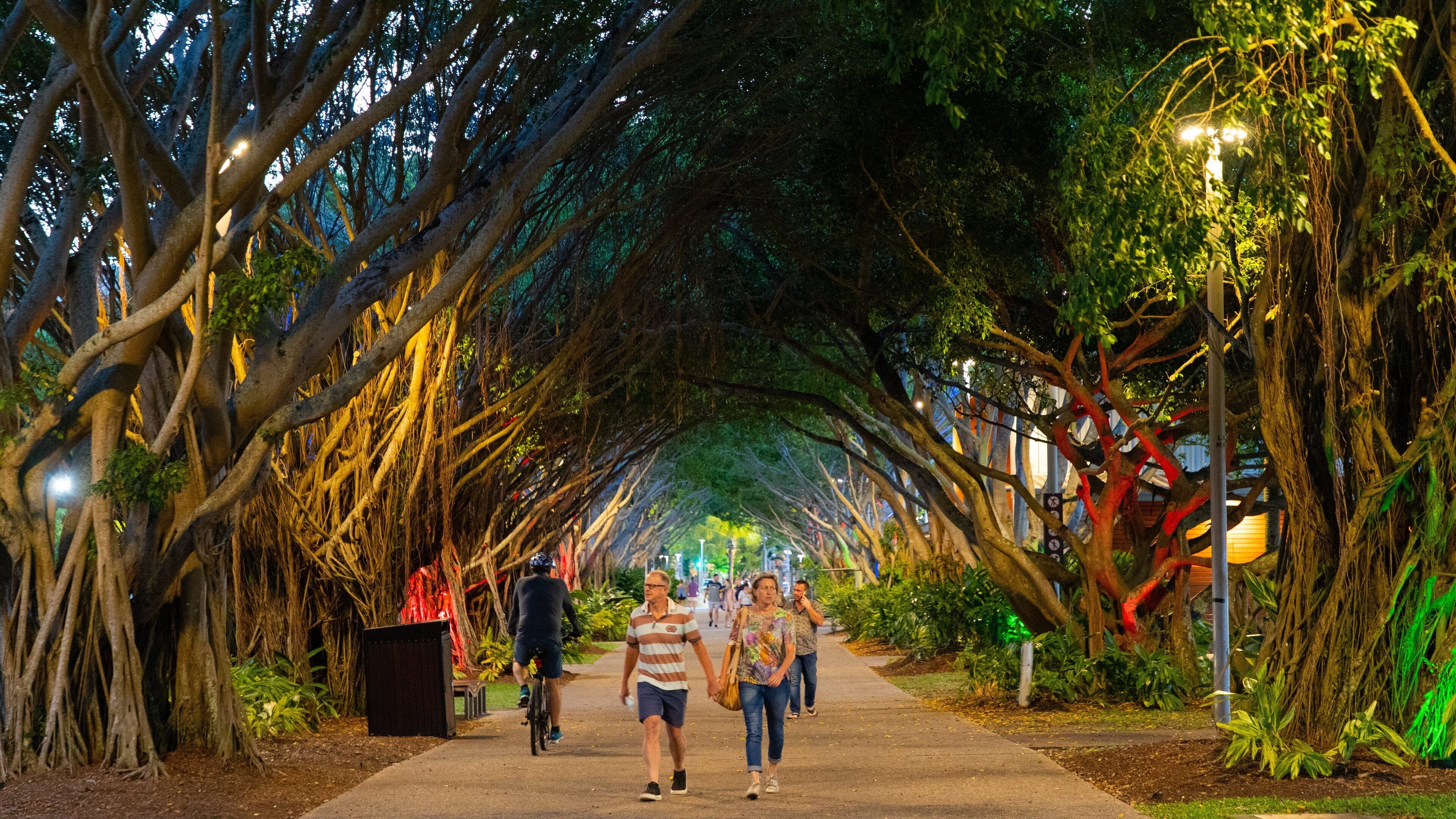 Cairns Esplanade featuring a park as well as a couple