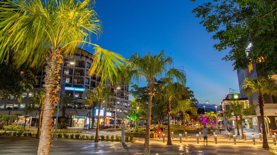 Cairns Esplanade which includes night scenes