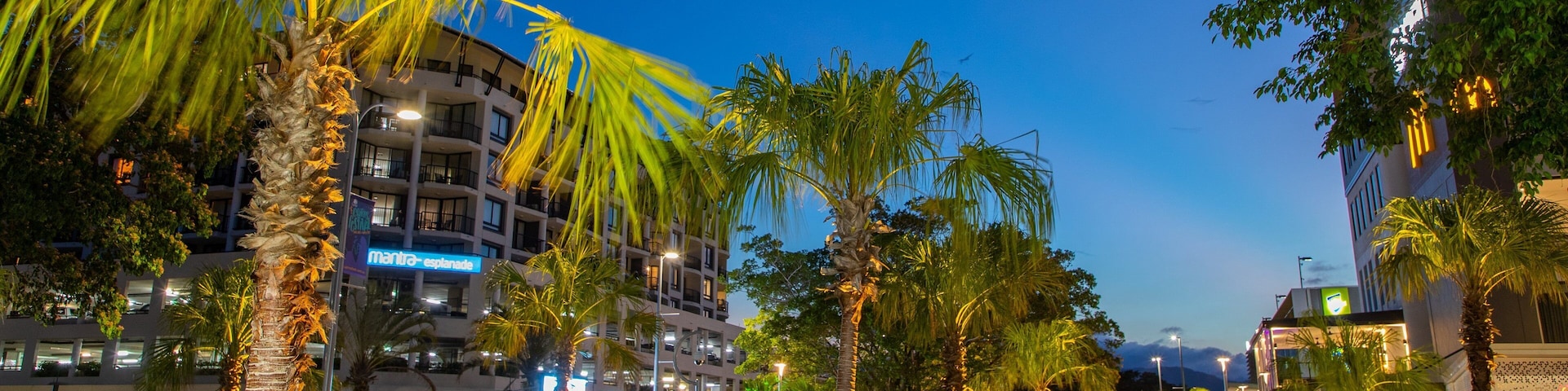 Cairns Esplanade which includes night scenes