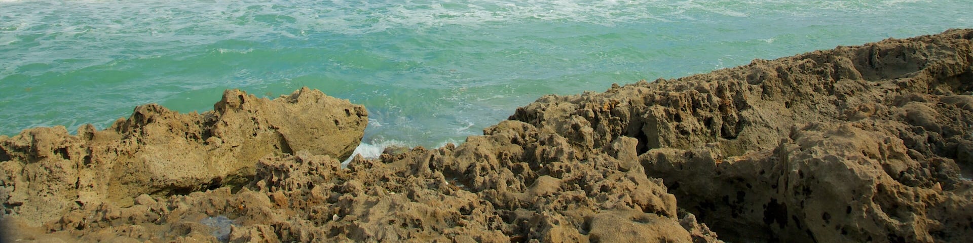 Jupiter Beach showing a pebble beach, tropical scenes and landscape views
