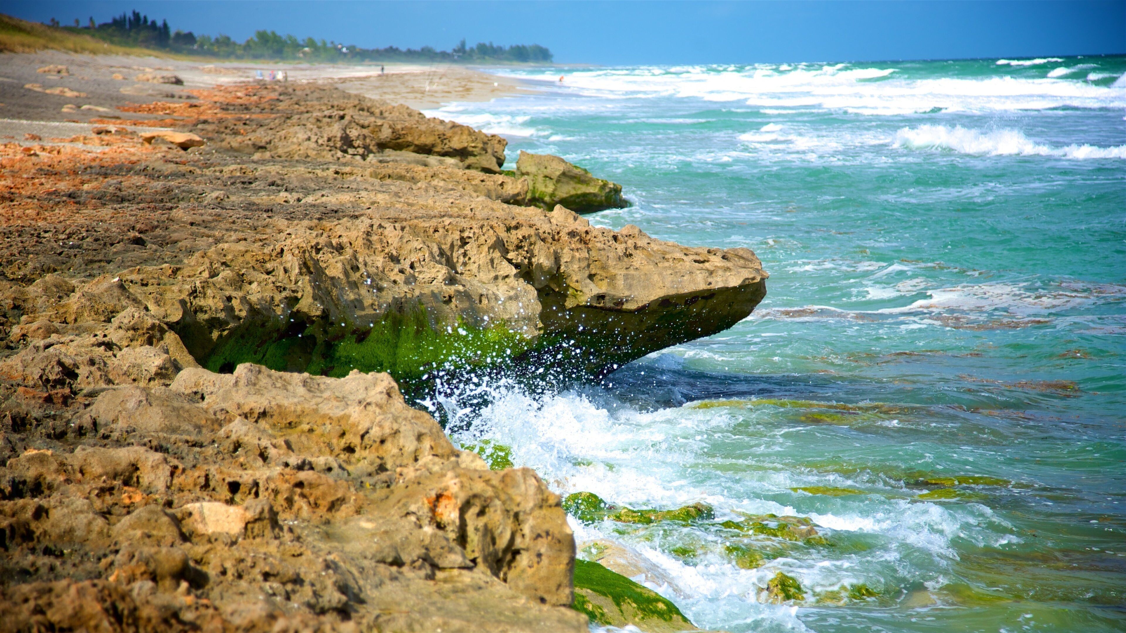 Jupiter Beach featuring rocky coastline, general coastal views and surf