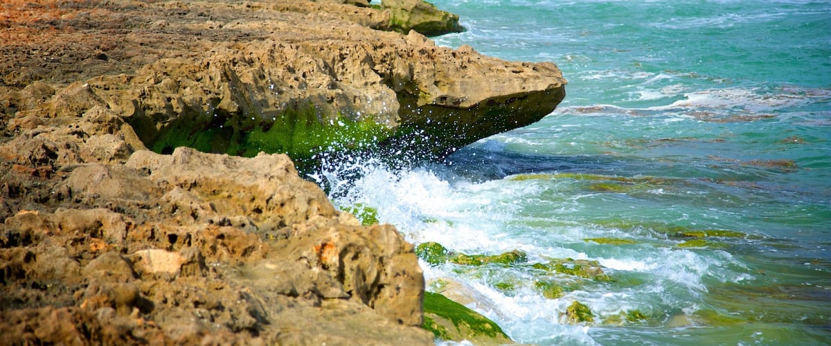 Jupiter Beach featuring rocky coastline, waves and general coastal views