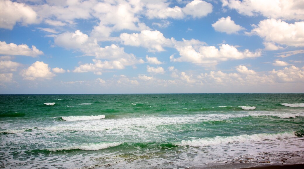 Bãi biển Jupiter trong đó bao gồm lướt sóng và cảnh bờ biển