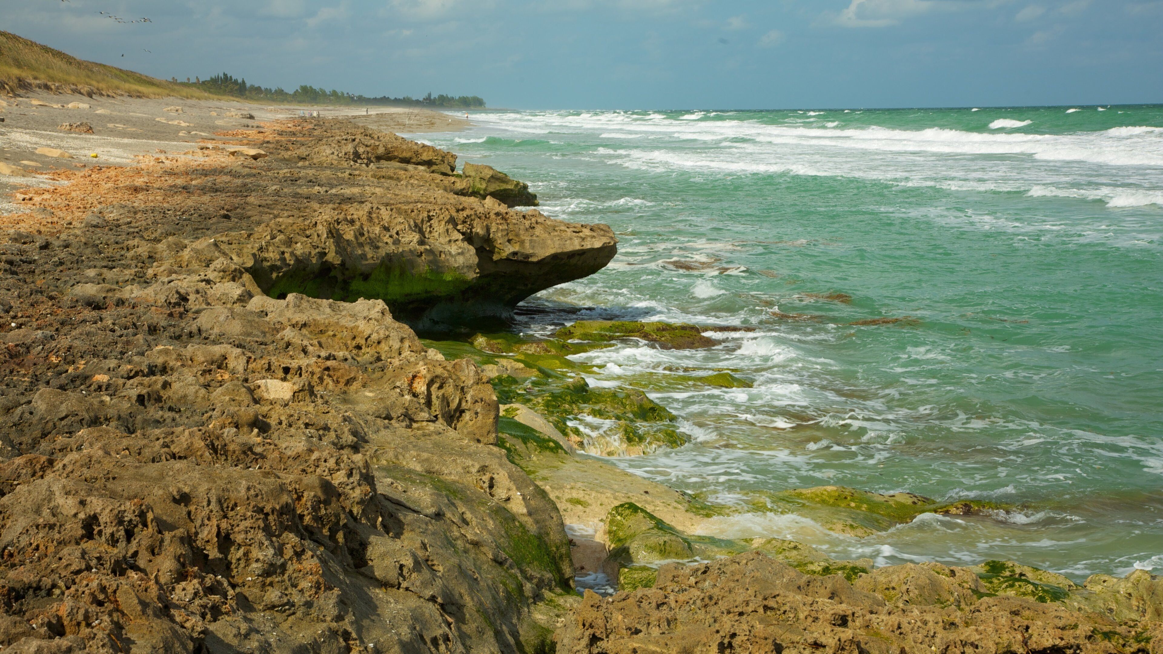 Jupiter Beach mostrando vistas de paisajes, vistas generales de la costa y costa escarpada