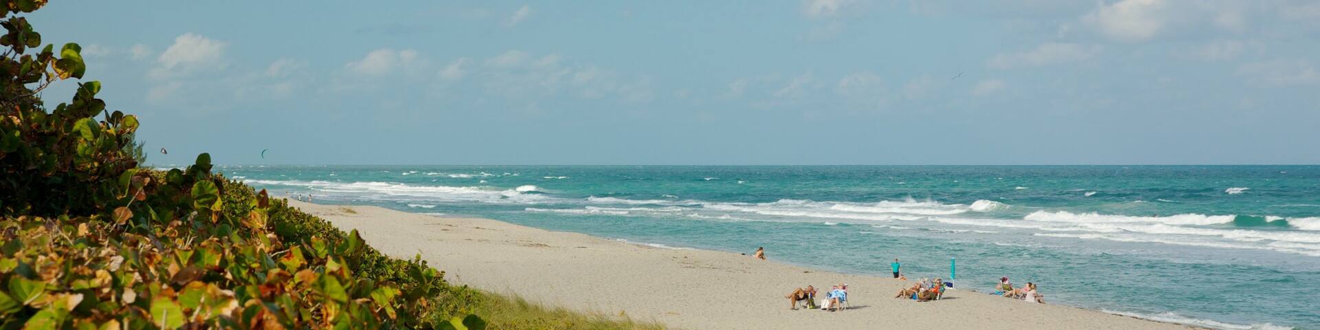 A beach with people sunbathing and swimming, surrounded by greenery.