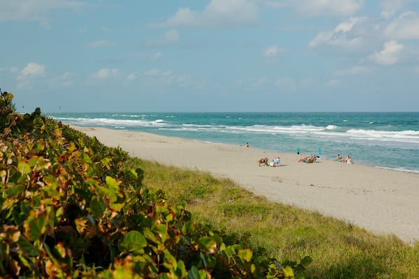 Una playa con gente tomando el sol y nadando, rodeada de vegetación.