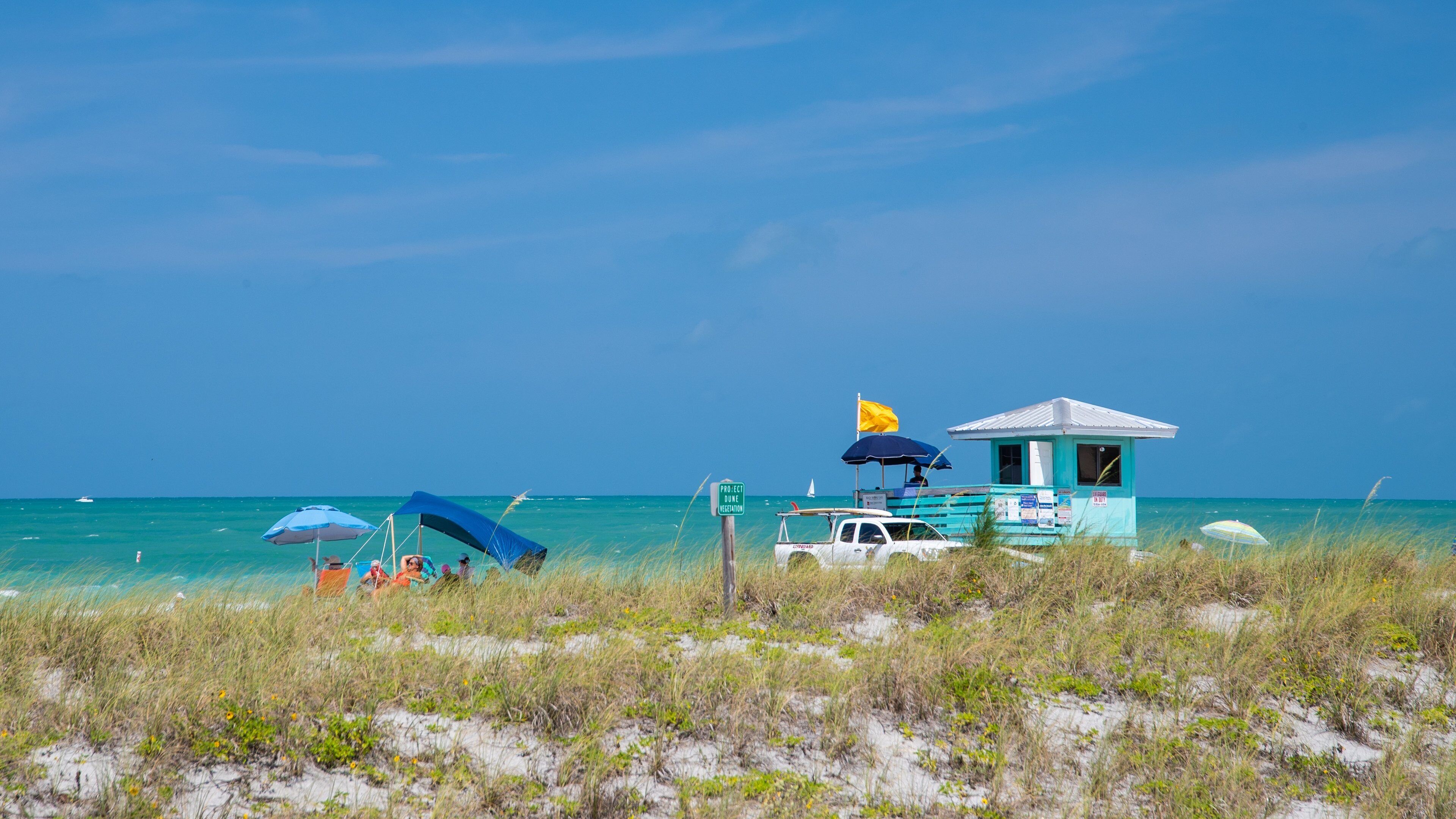 Venice Beach showing general coastal views