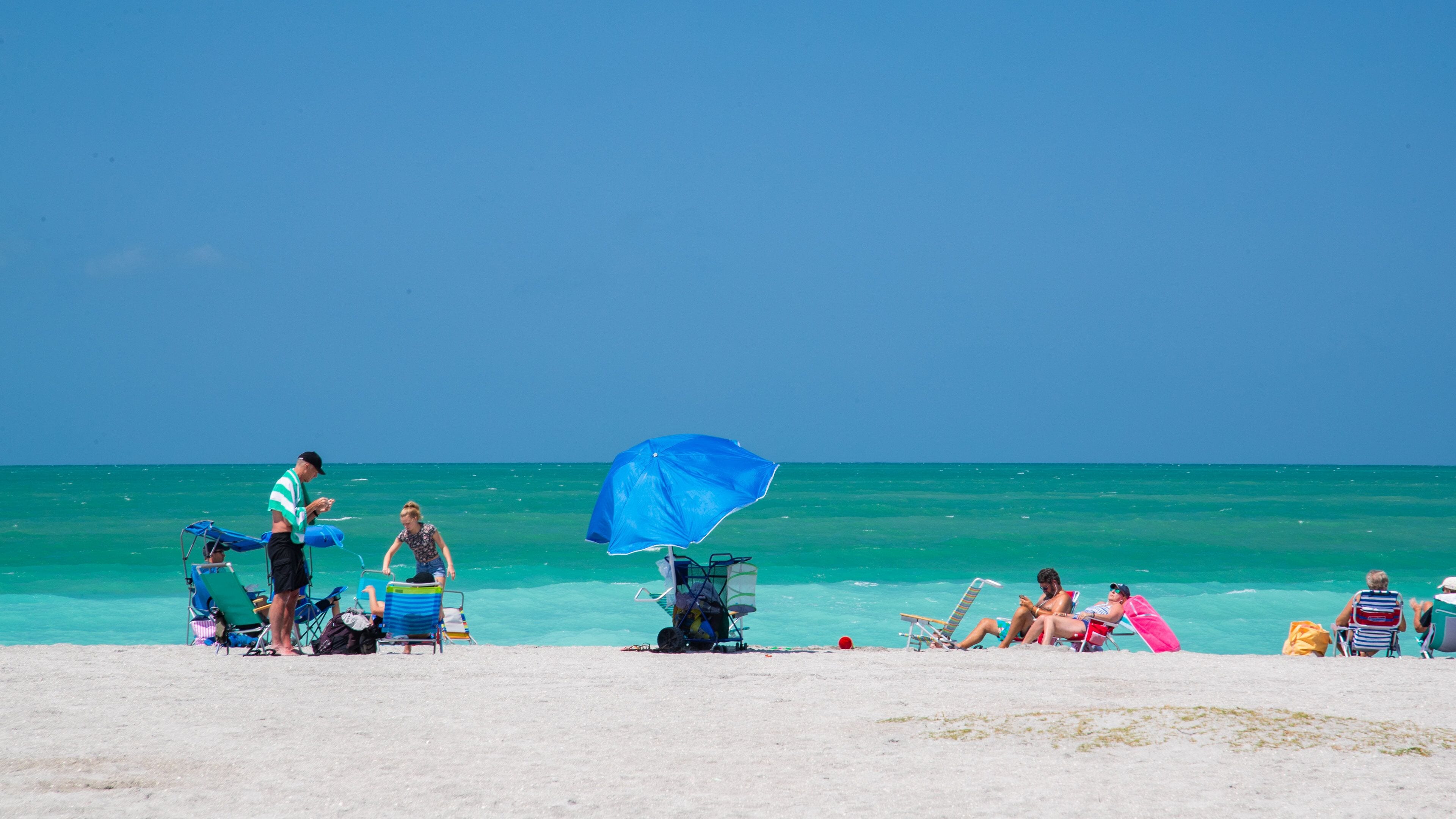 Venice Beach which includes general coastal views and a sandy beach