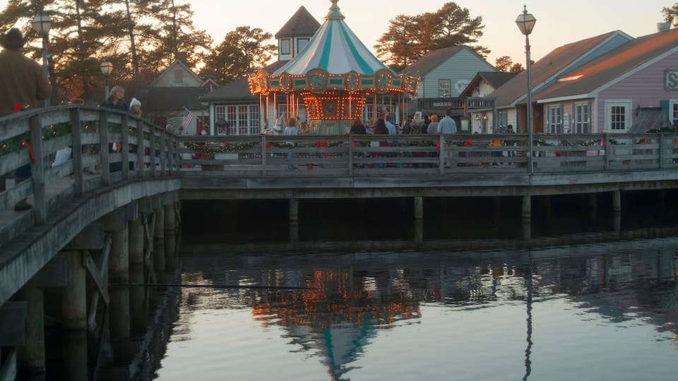 A carousel, a bridge, and buildings reflecting on the water.