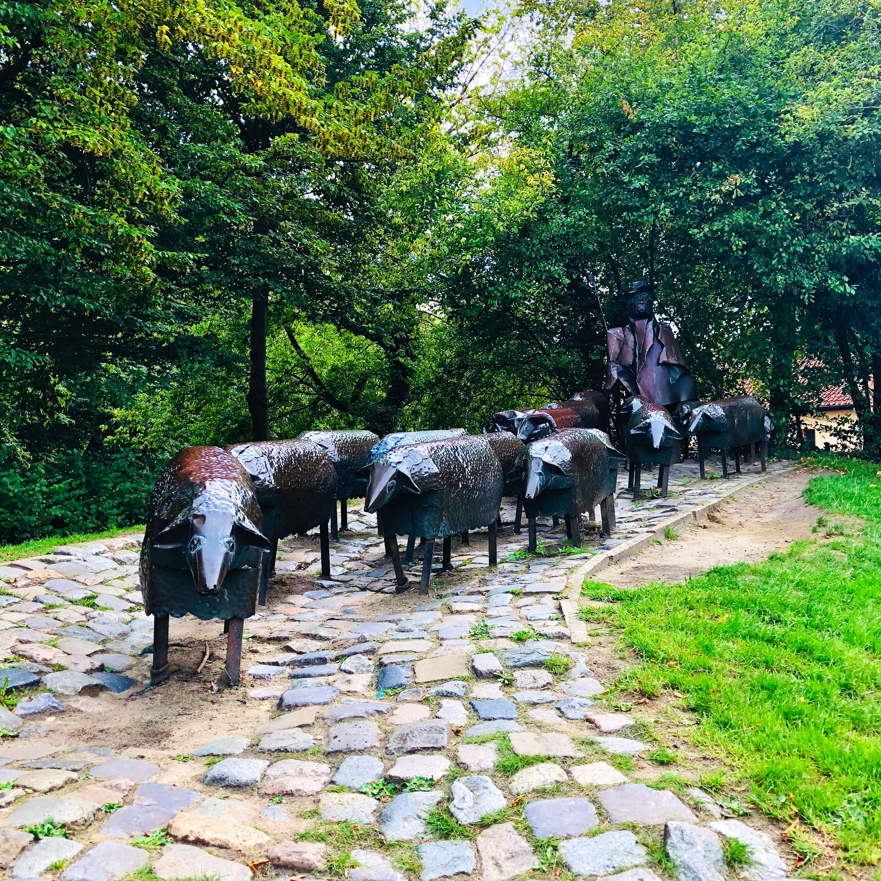 Schapenkoppen or the Sheep's Head Monument in Lier, Belgium tells of the interesting and humourous history of Lier.

Legend says in the 15th century, Duke John II wanted to thank the people of Lier for their services during his struggle with the people of Mechelen. They could choose their reward, either a cattle market or a university. They chose the cattle market. The Duke's response? "Oh, the sheep heads!" To which the people of Lier are lovingly called this day.   