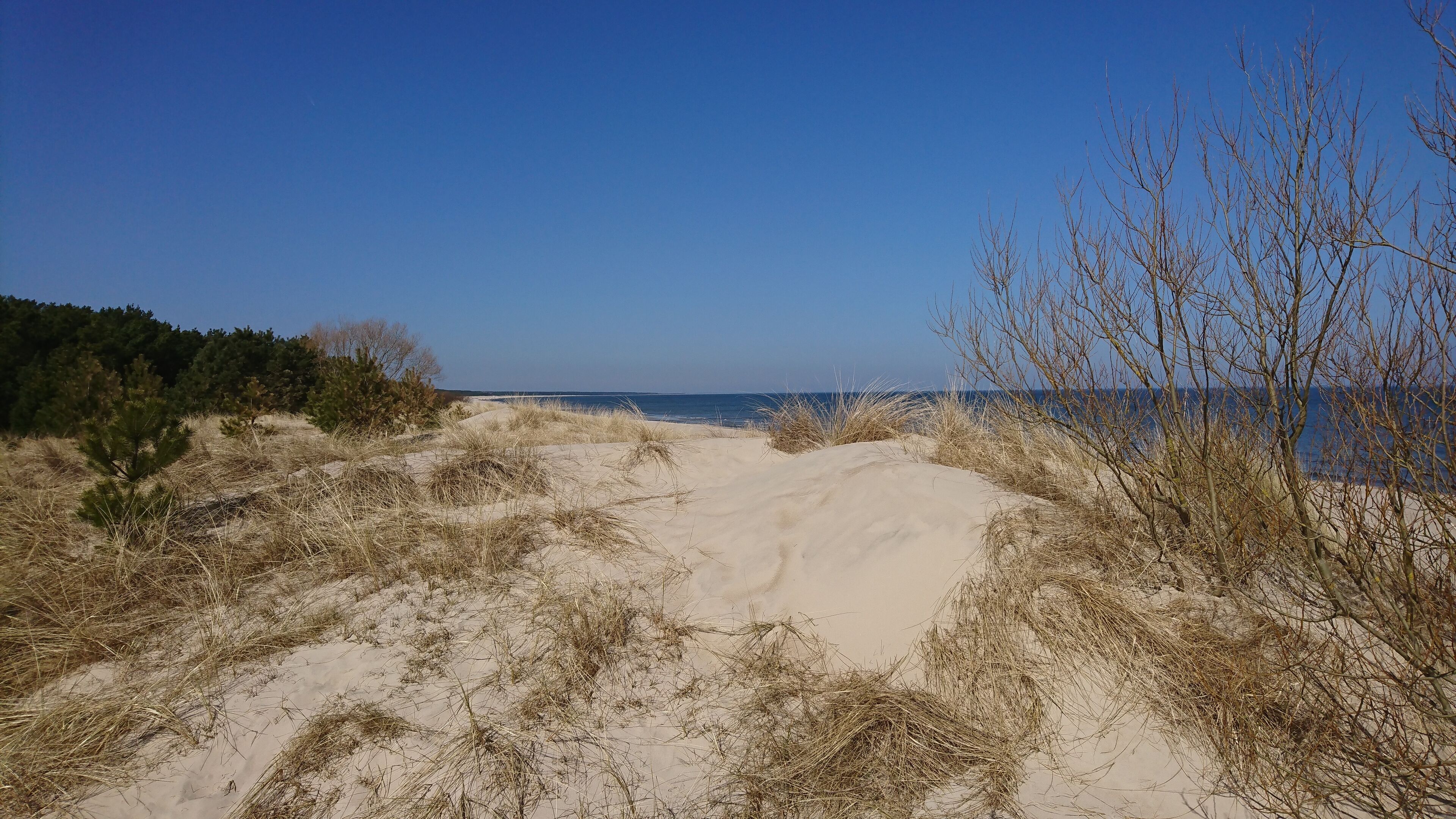 Strand bei Trassenheide