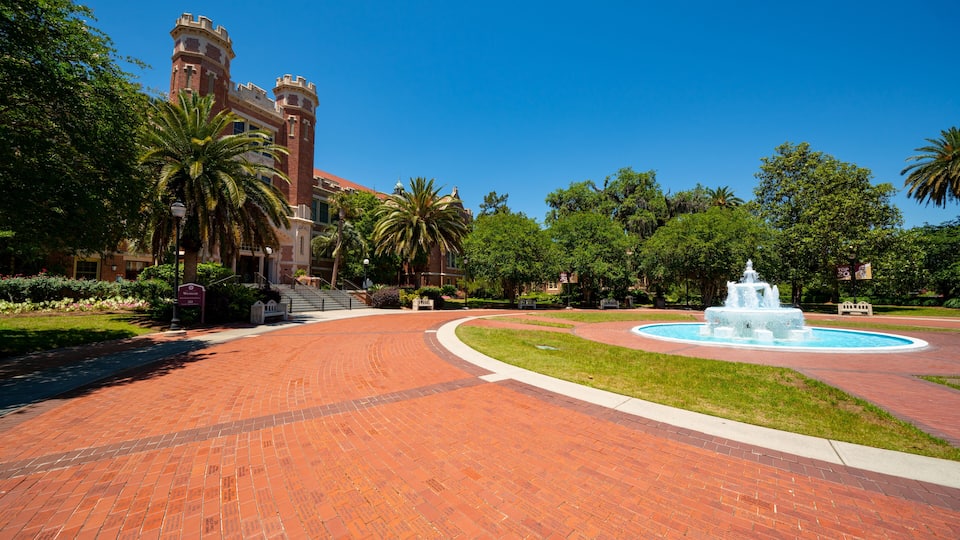 FSU Campus shut down due to Coronavirus Covid 19 pandemic no people