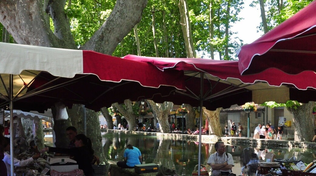 The market at Cucuron is famous for being centred around the town's etang (pond). The produce and vendors are as good as the setting. #market