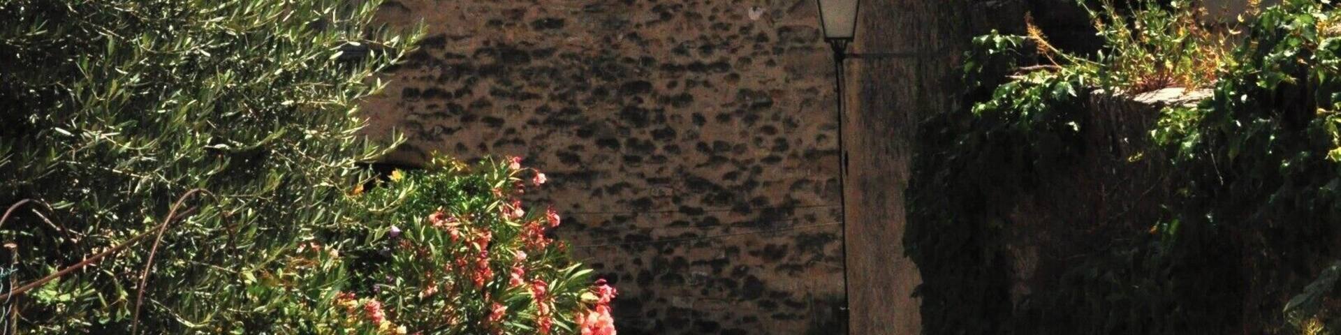 Within the medieval heart of Cucuron this church spire is visible everywhere.