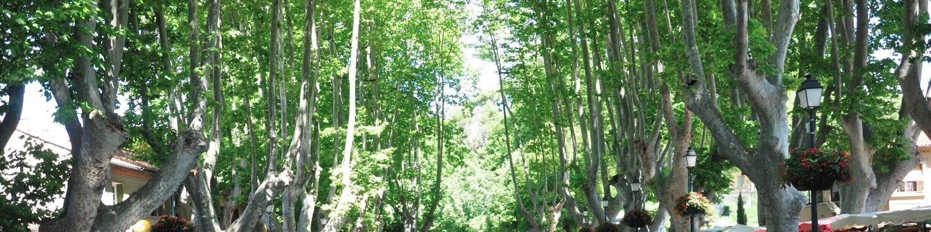 Cucuron's weekly market surrounds the etang (pond) just outside the medieval heart of this beautiful town. It was the location for a famous scene in the Russell Crowe movie 'A Good Year'. #market