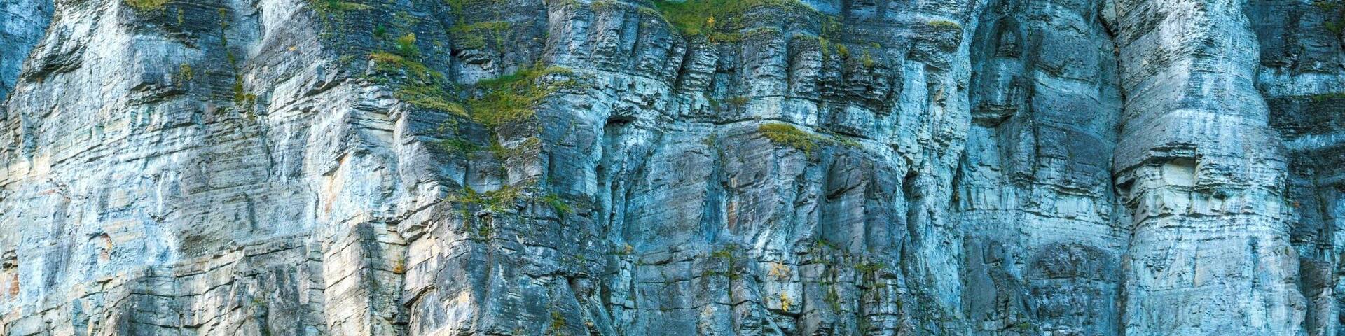 Autumn trees on a cliff.
This is a little forest in the middle of a huge cliff, in Savoie, France. The red and yellow trees are mixing with the pine trees, which gives them a cool look I think ;)
#BVStrove