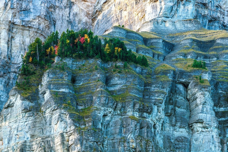 Autumn trees on a cliff.
This is a little forest in the middle of a huge cliff, in Savoie, France. The red and yellow trees are mixing with the pine trees, which gives them a cool look I think ;)
#BVStrove