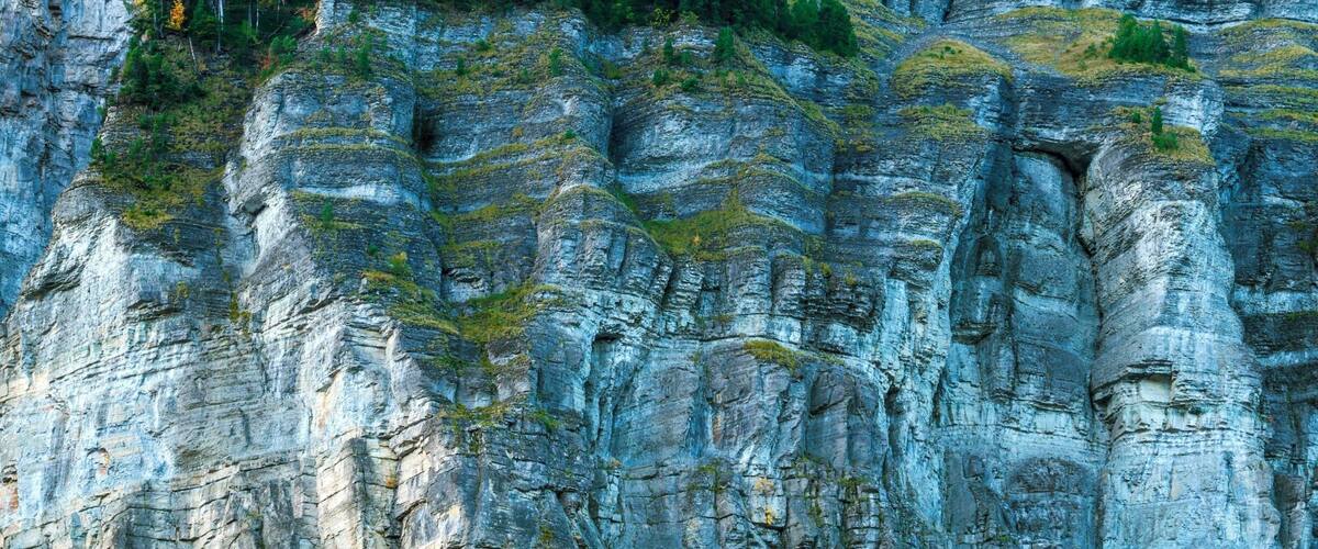 A rocky cliff with layered rock formations and a small forest of trees at the top.
