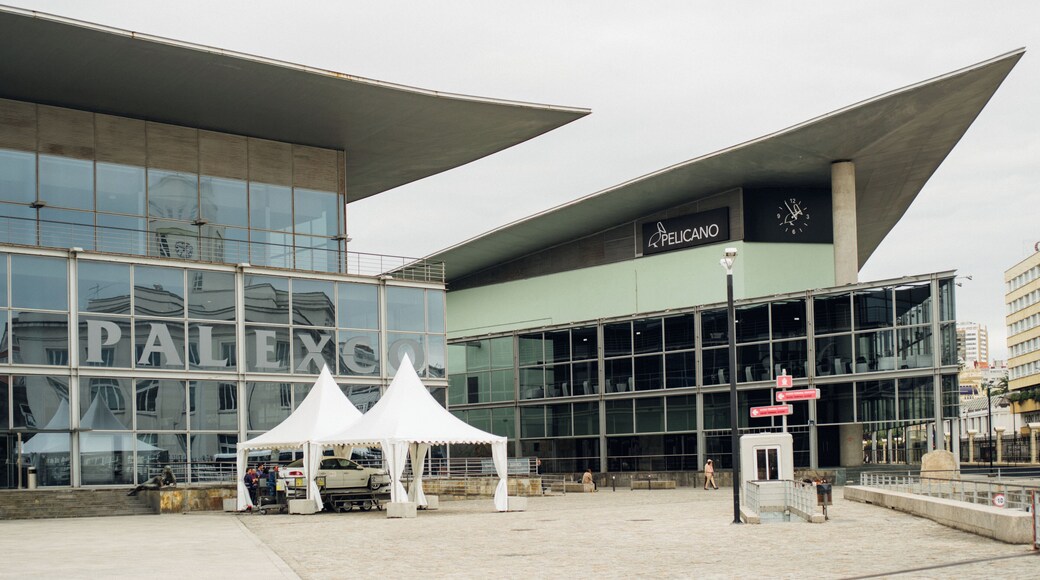 LaCoruna_PalexcoCongressCentre_6127874-7