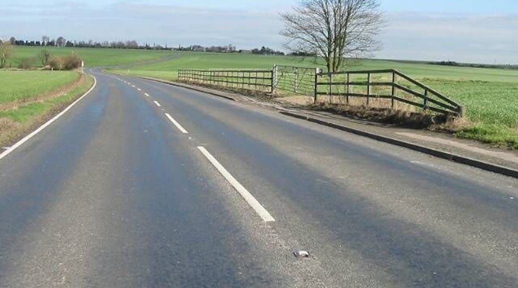Looking NE along Canterbury Road, Sarre
