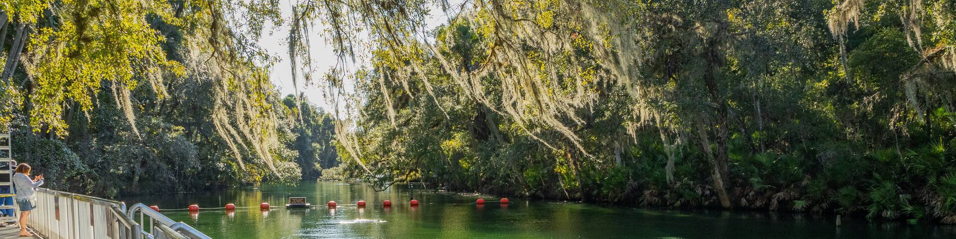 Blue Spring State Park which includes a river or creek