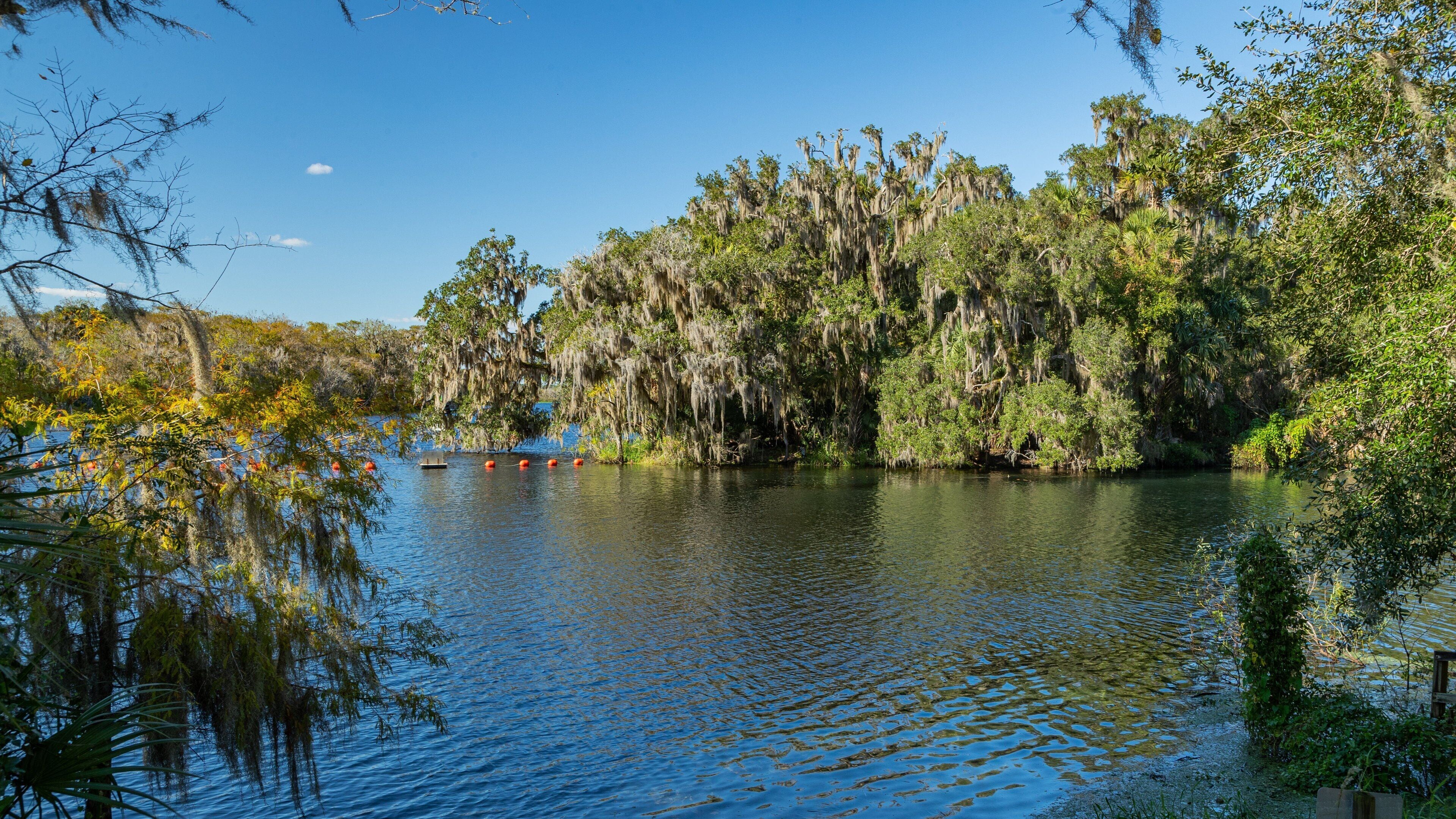 Blue Spring State Park showing a lake or waterhole