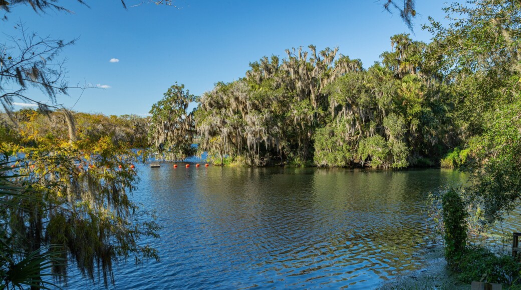 Blue Spring State Park showing a lake or waterhole