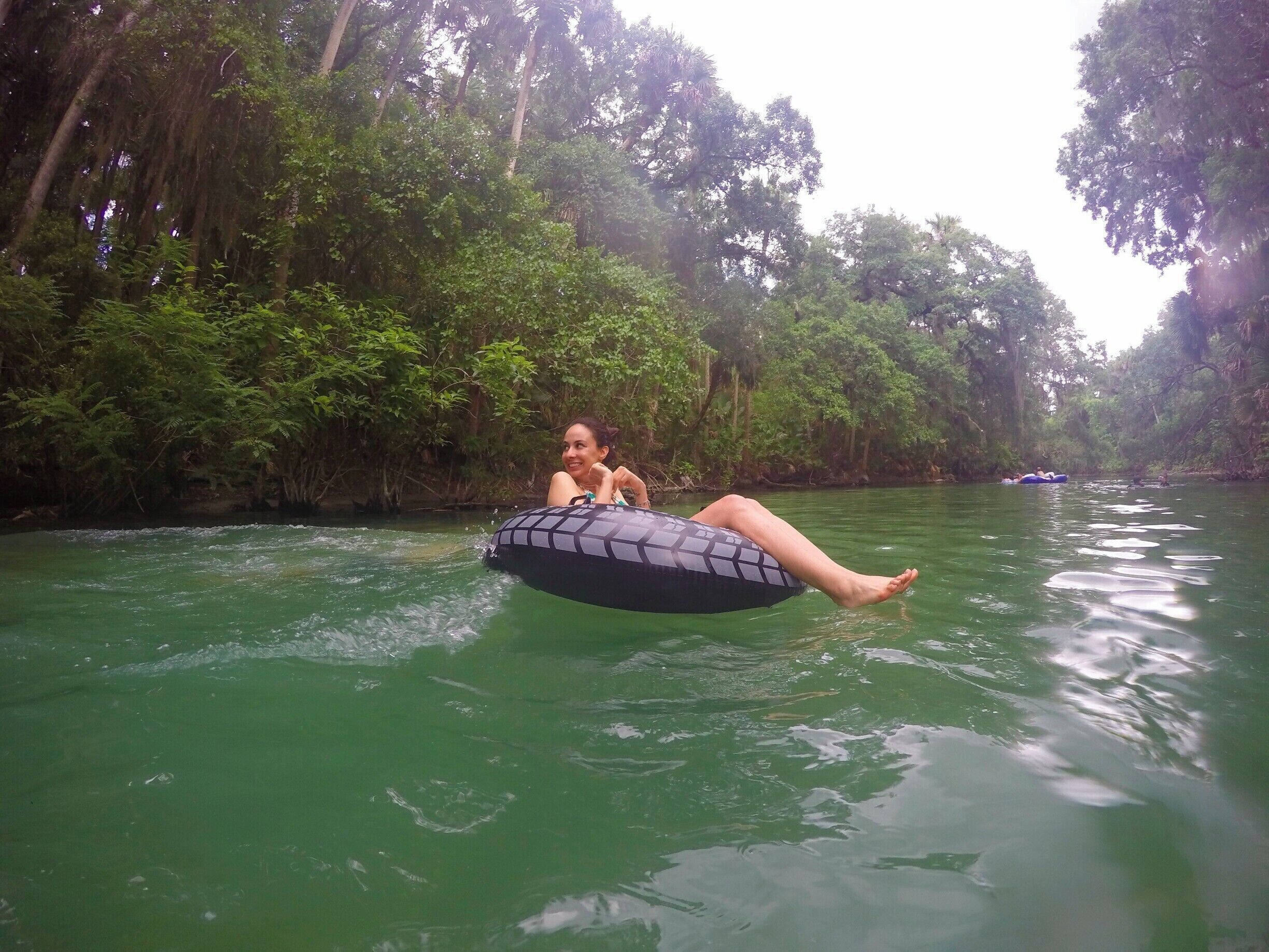 Blue Springs is Florida's largest refugee for manatees in the winter. It is also perfect for tubing and scuba diving in the summer!