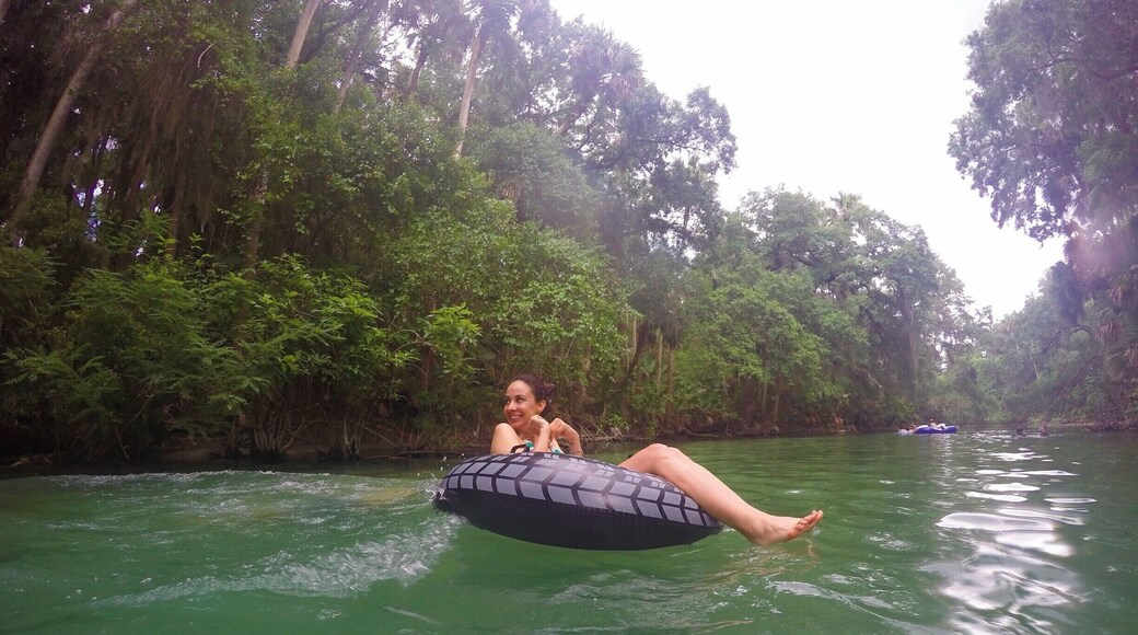 Blue Springs is Florida's largest refugee for manatees in the winter. It is also perfect for tubing and scuba diving in the summer!