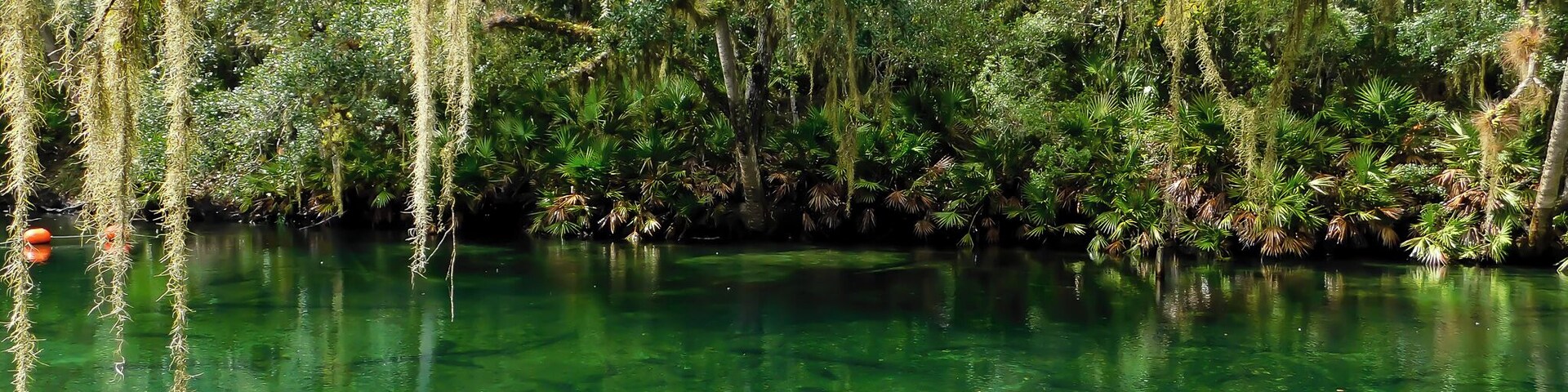 This is the view I had while kayaking along with seeing all the birds and wildlife along the way.