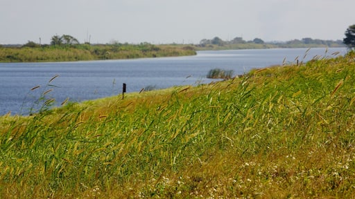 Lago Okeechobee mostrando un lago o laguna y vistas panorámicas