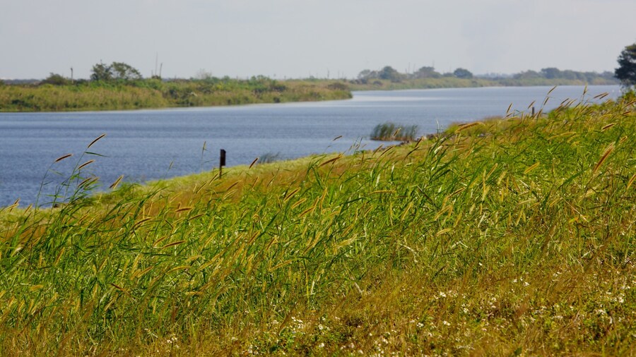 Lake Okeechobee showing landscape views and a lake or waterhole