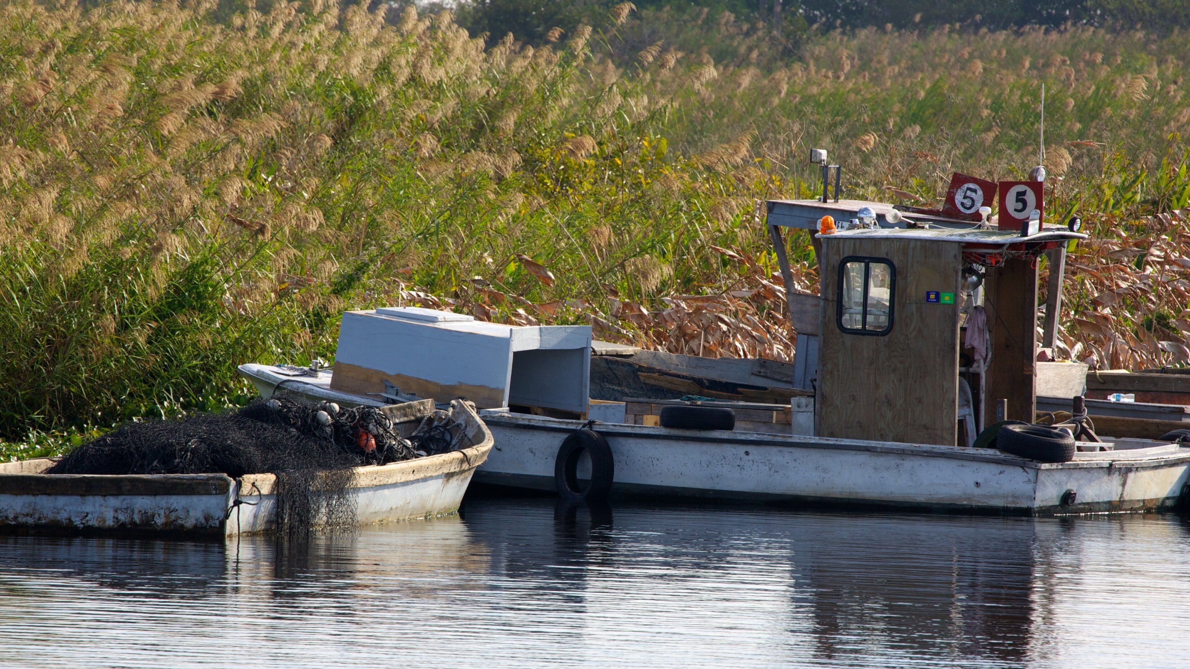 Lake Okeechobee showing tranquil scenes, a lake or waterhole and boating
