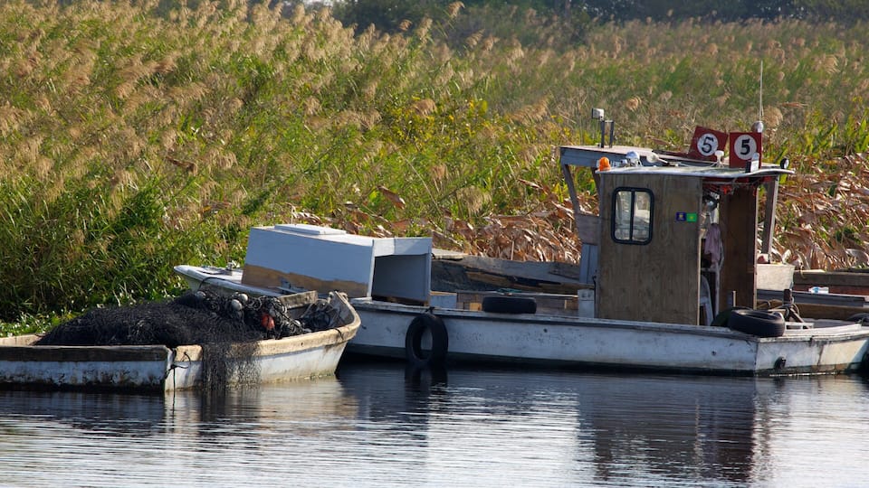 A small boat docked in a marshy area with reeds in the background.