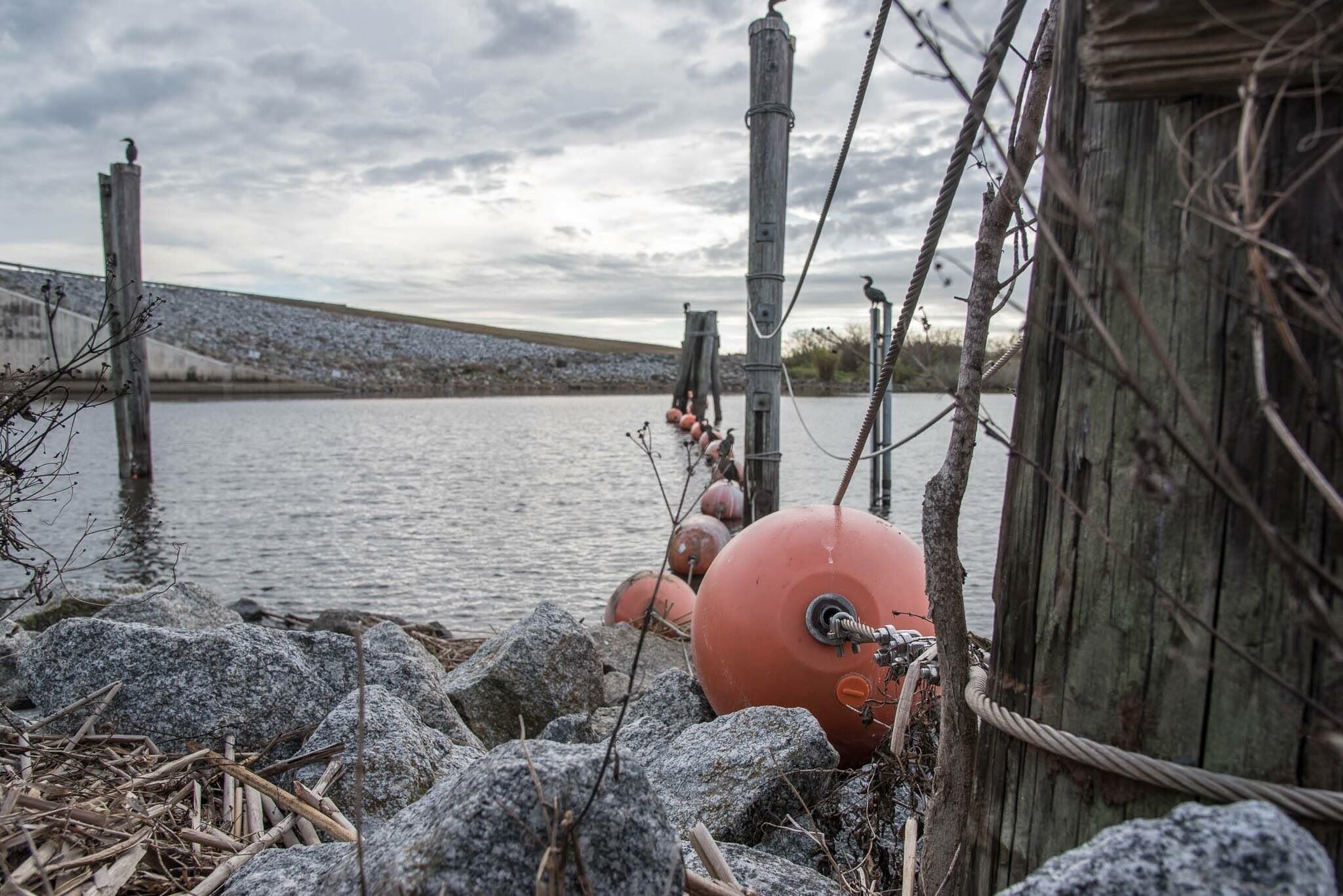 If you think you can pass up a trip to Florida's eye on your next FL road trip... you better not! It'll be watching :) It's like a mix of southern FL vibes & farm town flare!! 