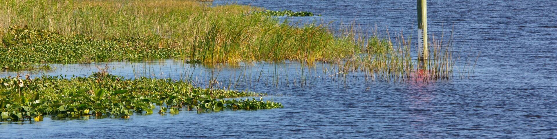 Lake Okeechobee featuring landscape views and a lake or waterhole