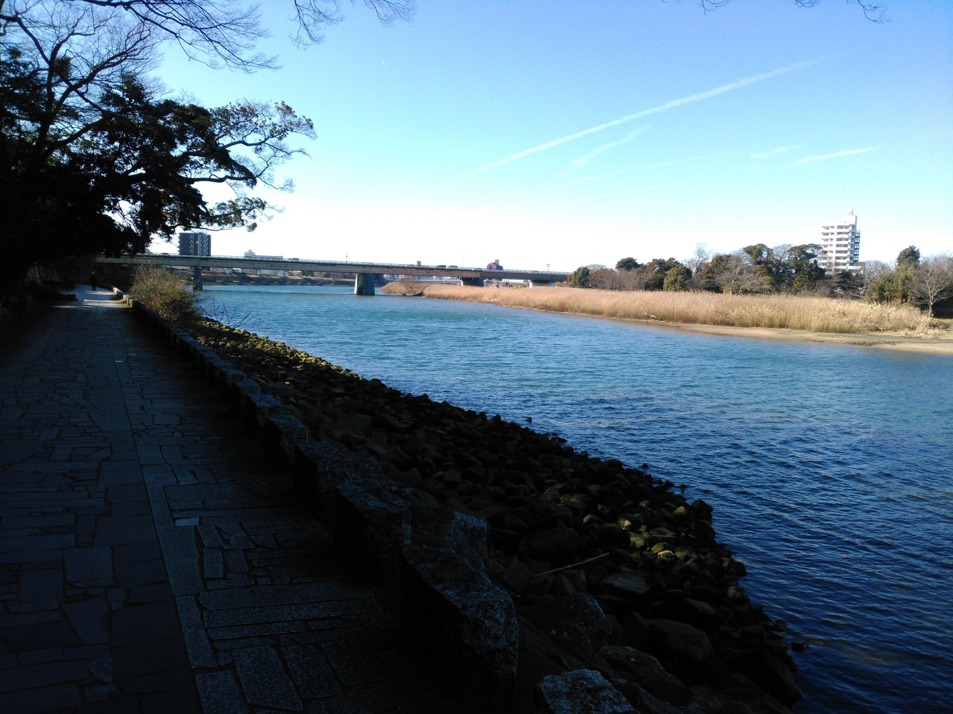 豊橋公園 - 豊川