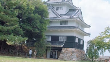 Un château japonais traditionnel, avec une base en pierre et des murs blancs, entouré d’une zone herbeuse parsemée de petites fleurs.