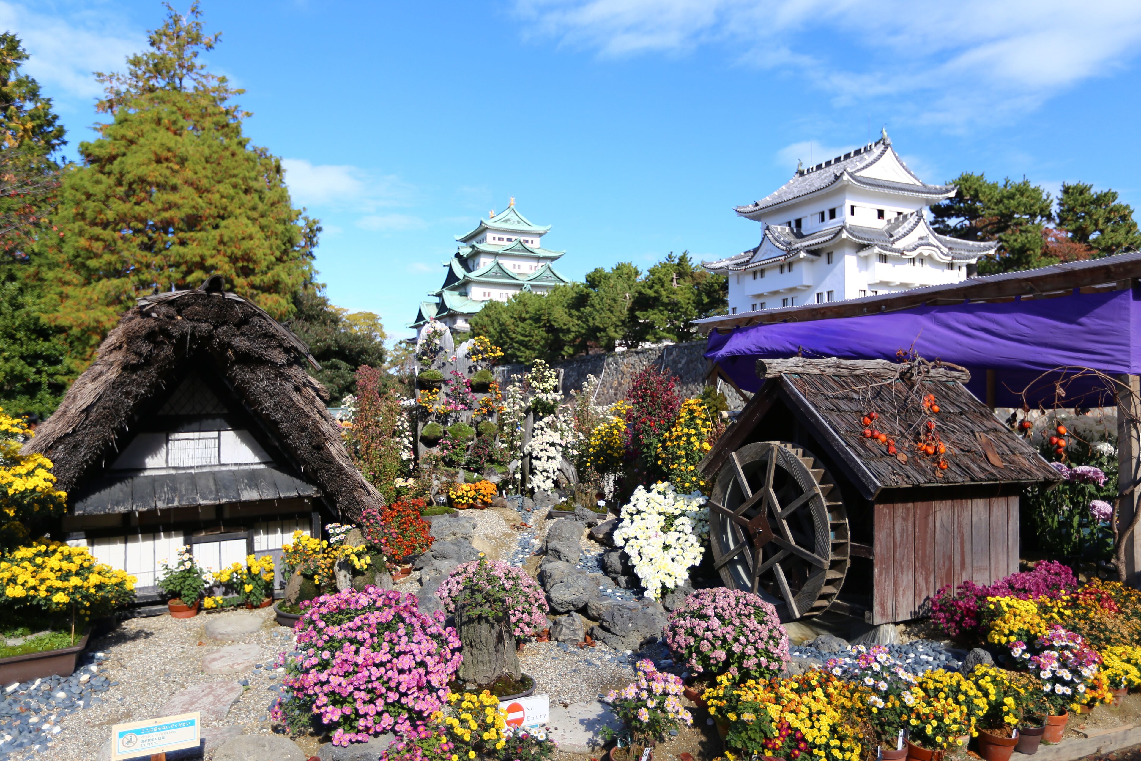 autumn season in japan 2018, Shutterstock ID 1255185724, Purchase Order: SP-1506 Go Guides, Order Number: , Client/Licensee: Faa Praharnpap, Other: Hcom budget