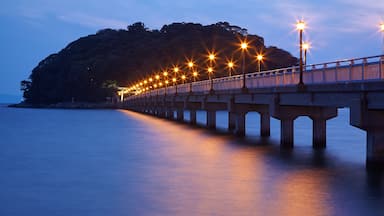 Un puente largo con farolas que se extiende sobre aguas tranquilas, conduciendo a una isla boscosa.