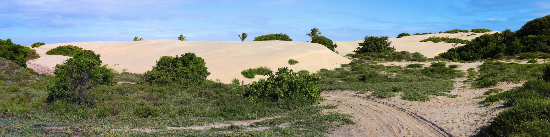 Sand dunes of Mangue Seco, Jandaira, Bahia, Brazil
