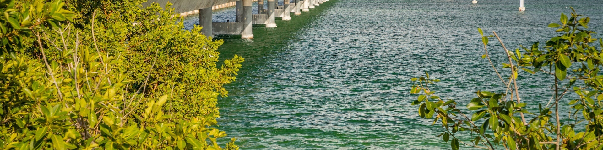 Seven Mile Bridge showing general coastal views and a bridge