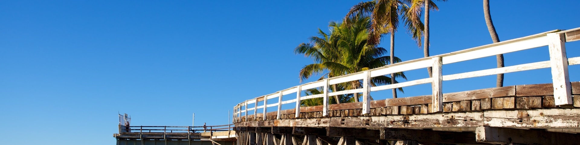 Seven Mile Bridge showing general coastal views