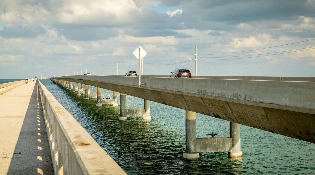 Seven Mile Bridge showing general coastal views and a bridge